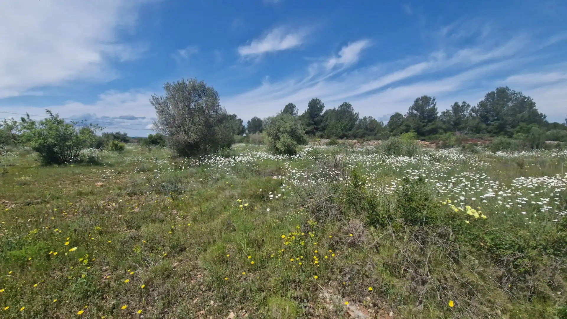 Terreno en venta en 43817, 17, El Pont d'Armentera
