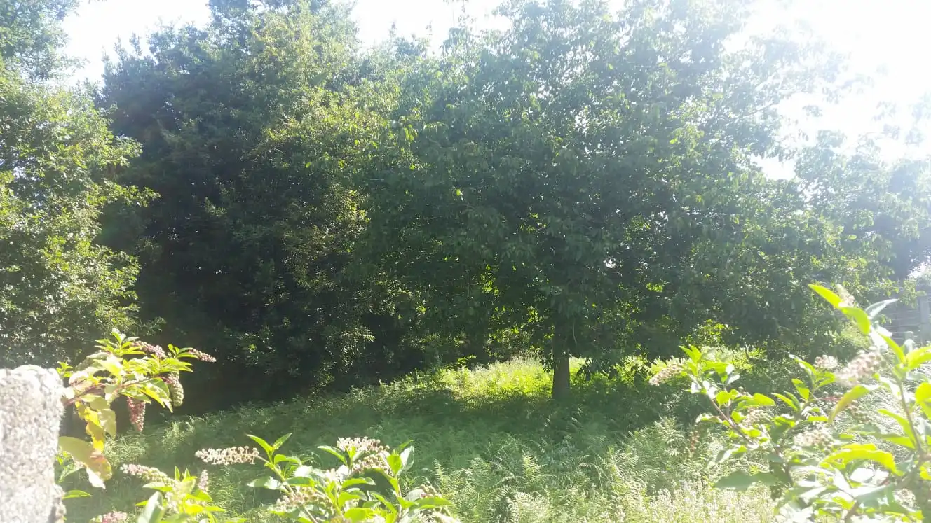 Wohnbaugrundstück zum Verkauf in Rúa Sobradelo, imagen 11