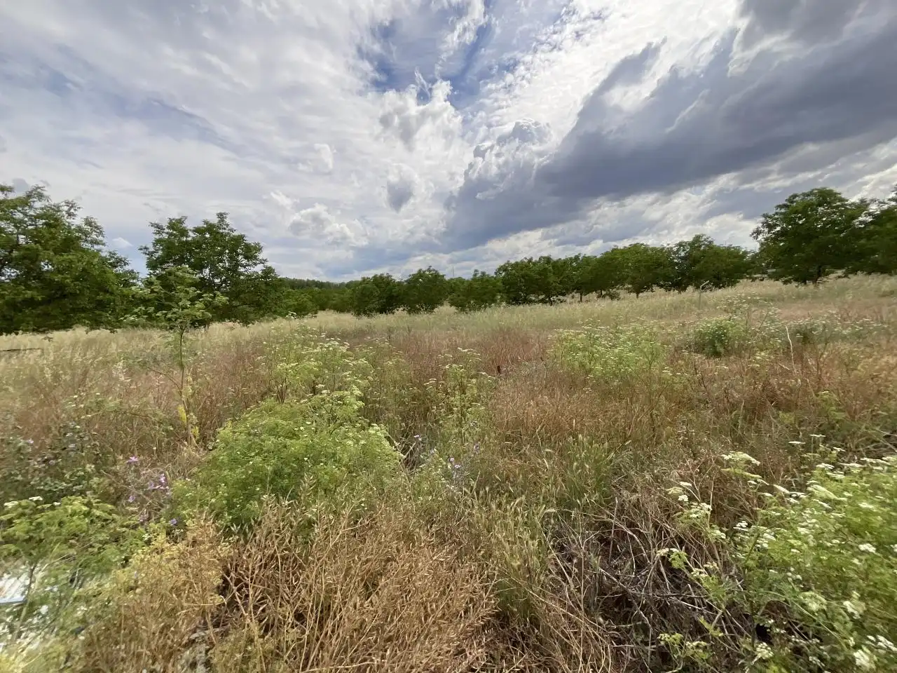 Nave industrial en venta en Villalobar de Rioja