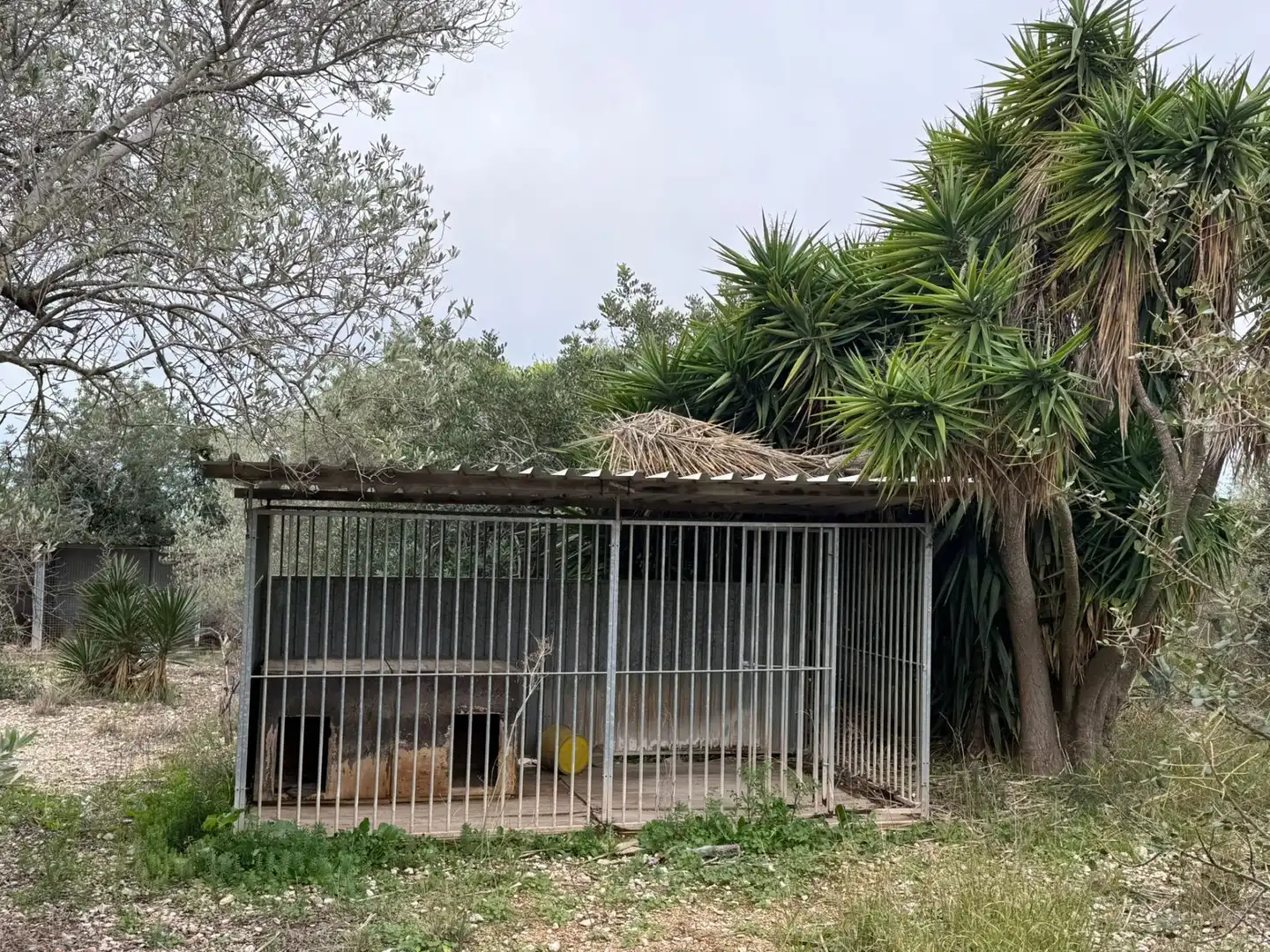 Vista exterior de Finca rústica en venta en Camarles