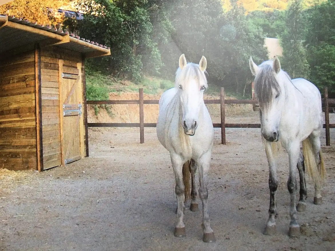 Casa rustica in vendita a Llinars del Vallès, imagen 16