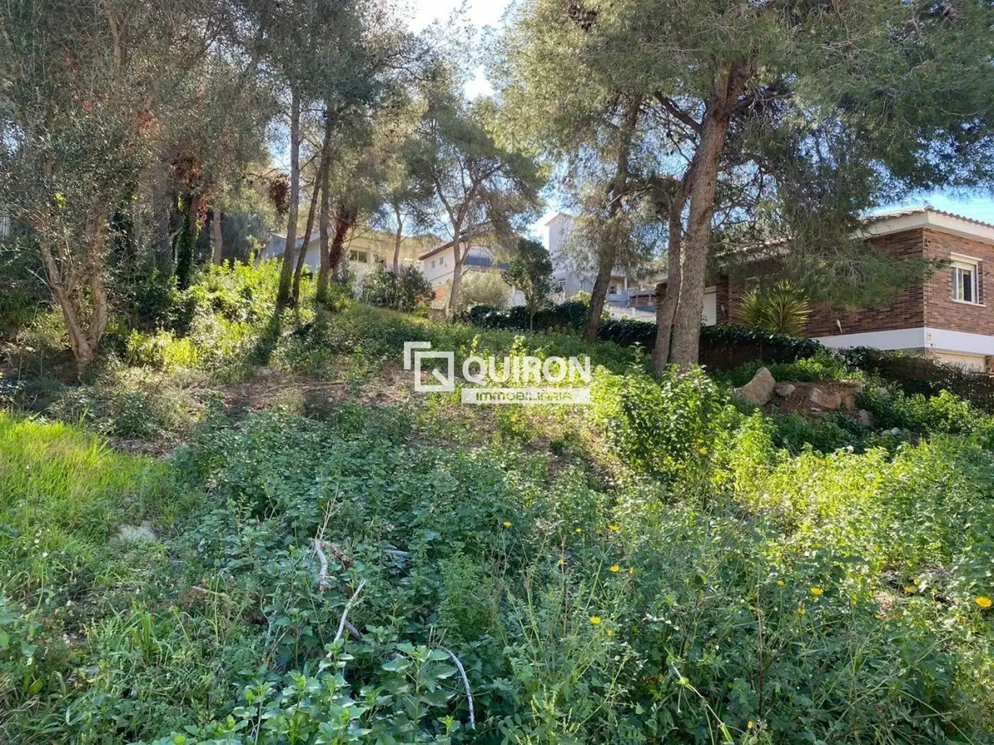 Rural land for sale in Santa Oliva, imagen 4
