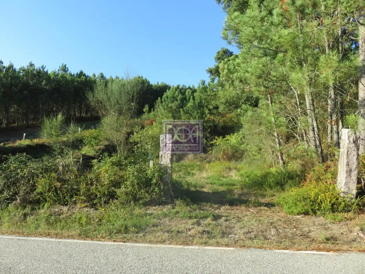 Lands and plots for sale in Mondariz, imagen 5