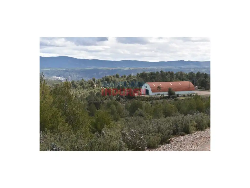 Vista exterior de Finca rústica en venda en Víllora