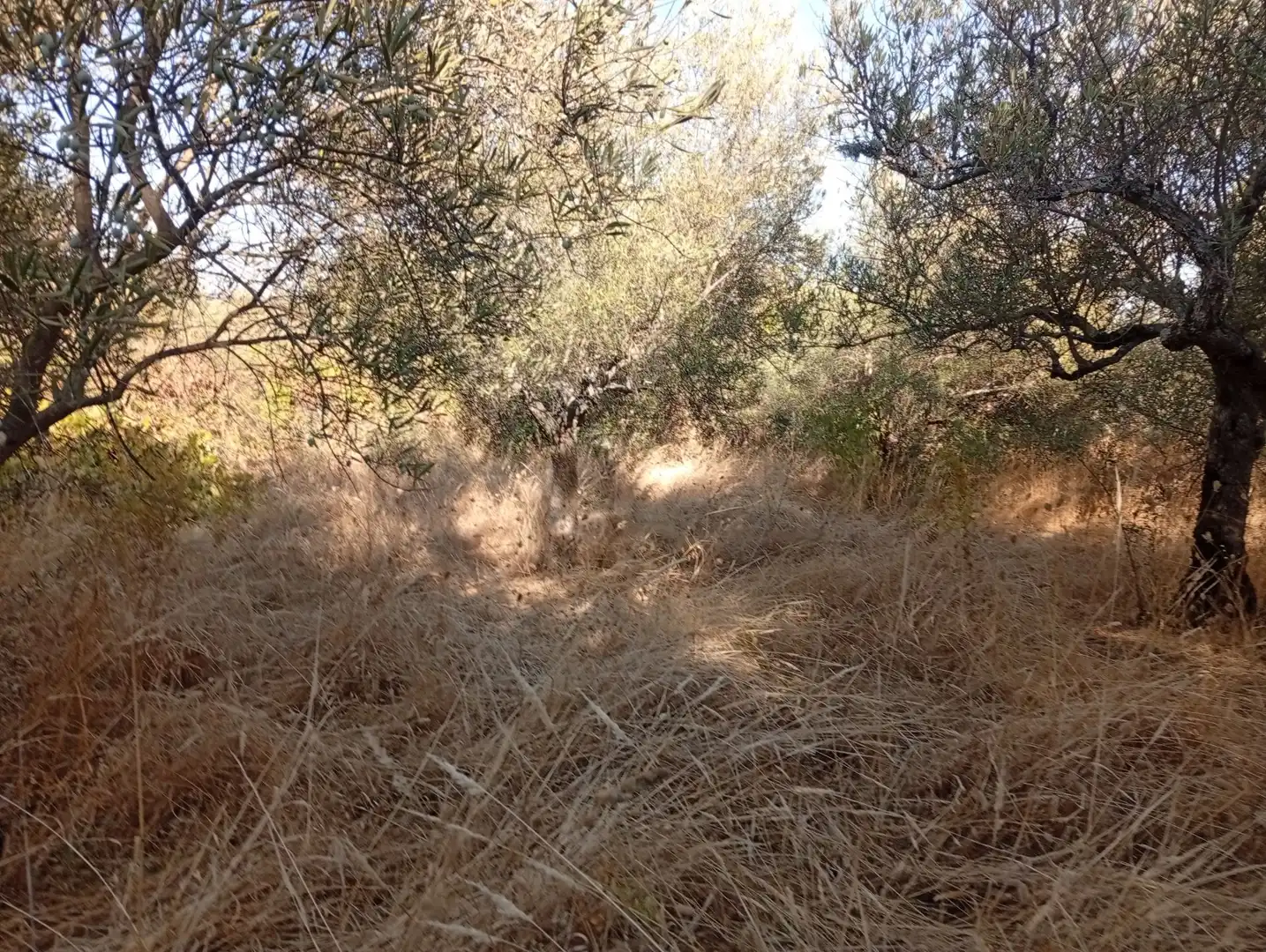 Terreni e lotti in vendita a Villanueva de la Vera, imagen 32