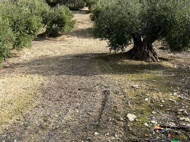 Terreno rustico in vendita a Priego de Córdoba