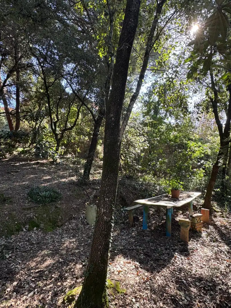 Grundstücke und Bauplätze zum Verkauf in Carrer de Lluis Millet 16, imagen 19