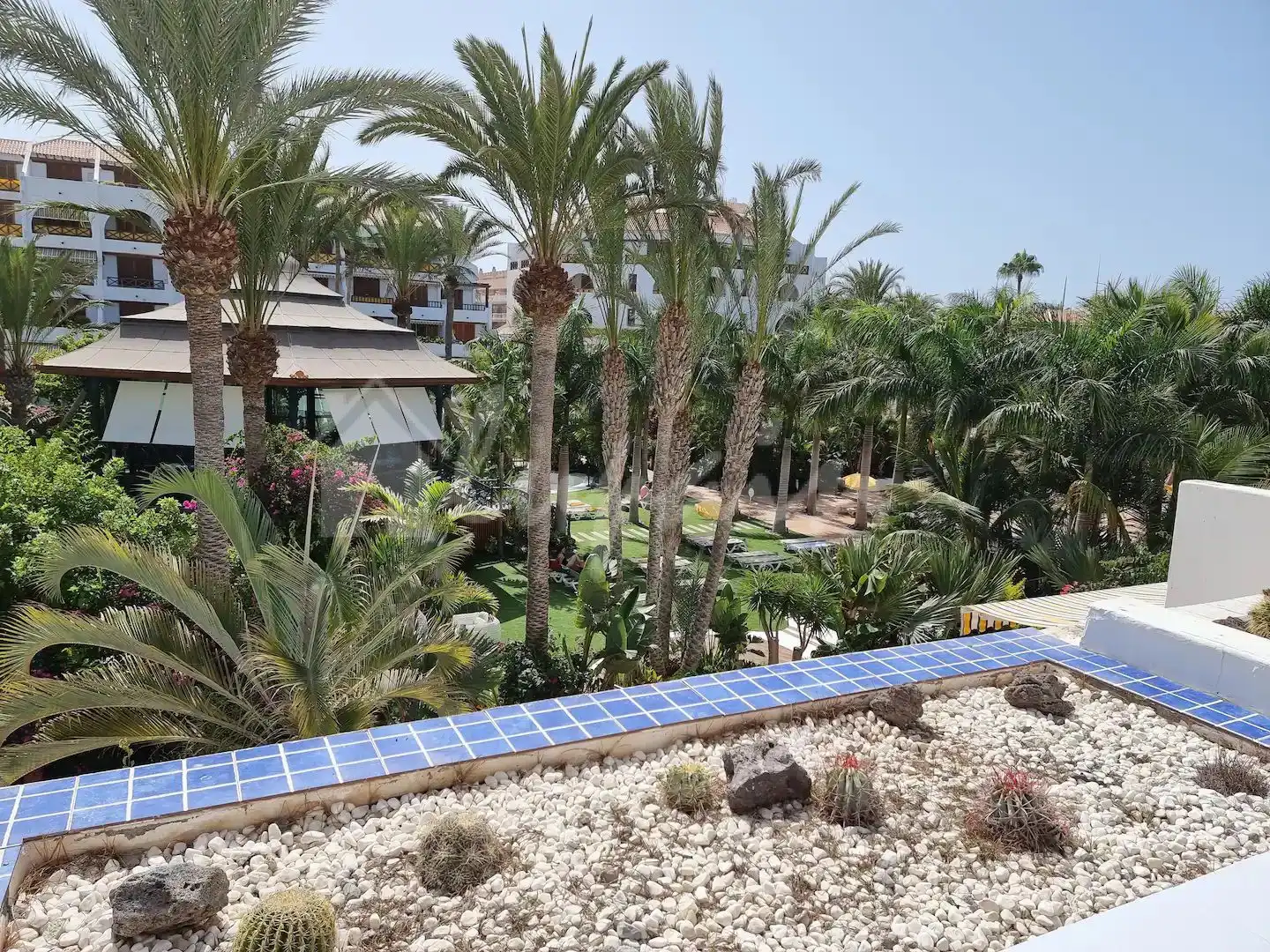 Studio à vendre à Playa de las Américas, imagen 23