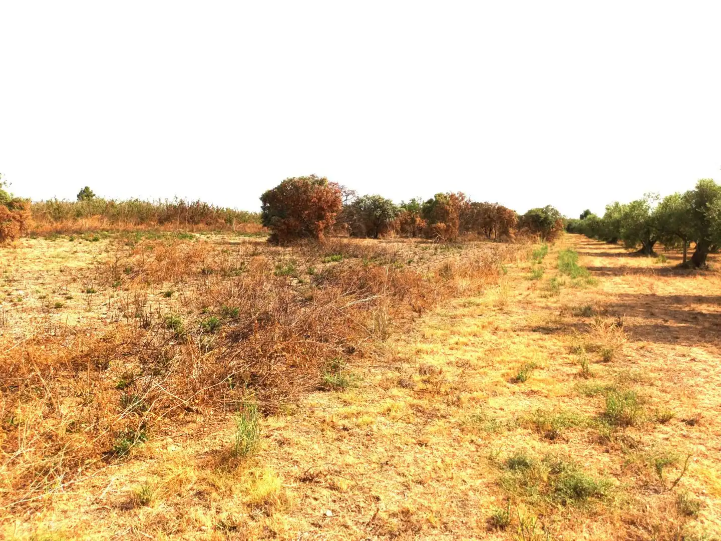 Country house for sale in Constantí, imagen 12