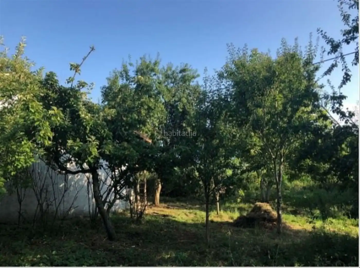 Terreno residenziale in vendita a Calle San Martín 38, imagen 6