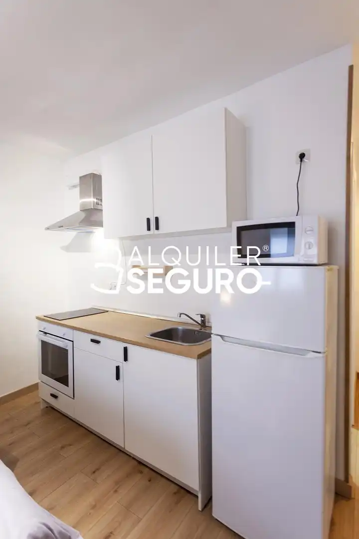 Wohnung zur Miete in del Oso, Embajadores - Lavapiés