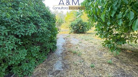 Foto 5 de Casa o chalet en venta en Carraportillo, Tudela de Duero, Valladolid