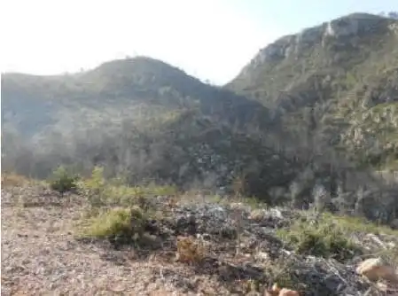 Terreno en venta en Ptda el Collado, Montitxelvo / Montichelvo