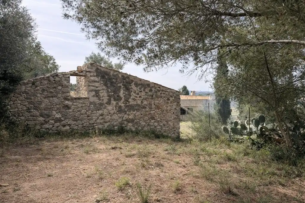 Finca rústica en venda en Lloseta amb Jardí privat i Terrassa