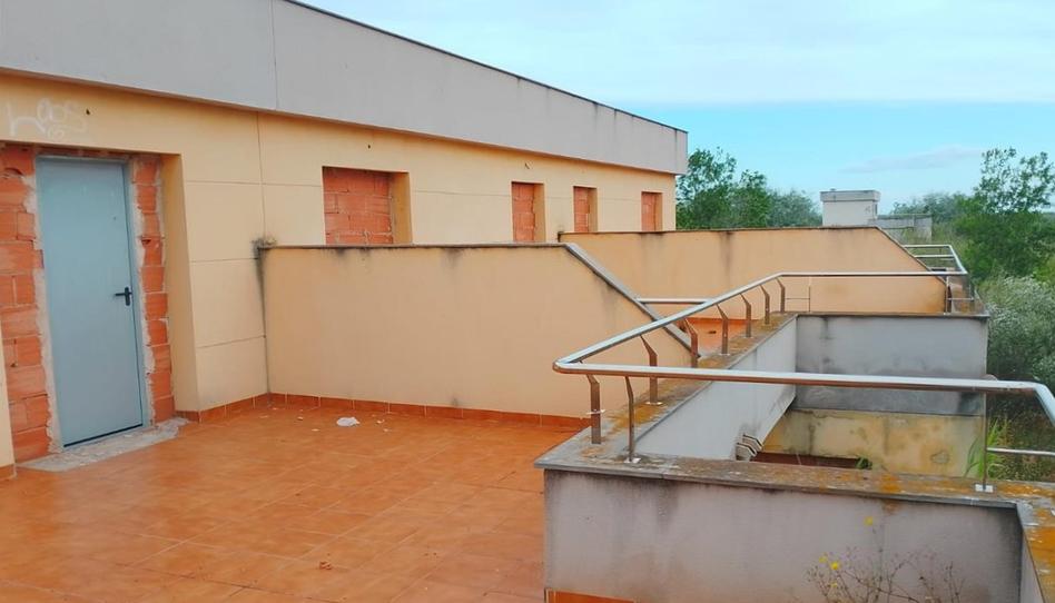 Foto 1 de Casa o chalet en venta en Flamenc, Deltebre, Tarragona