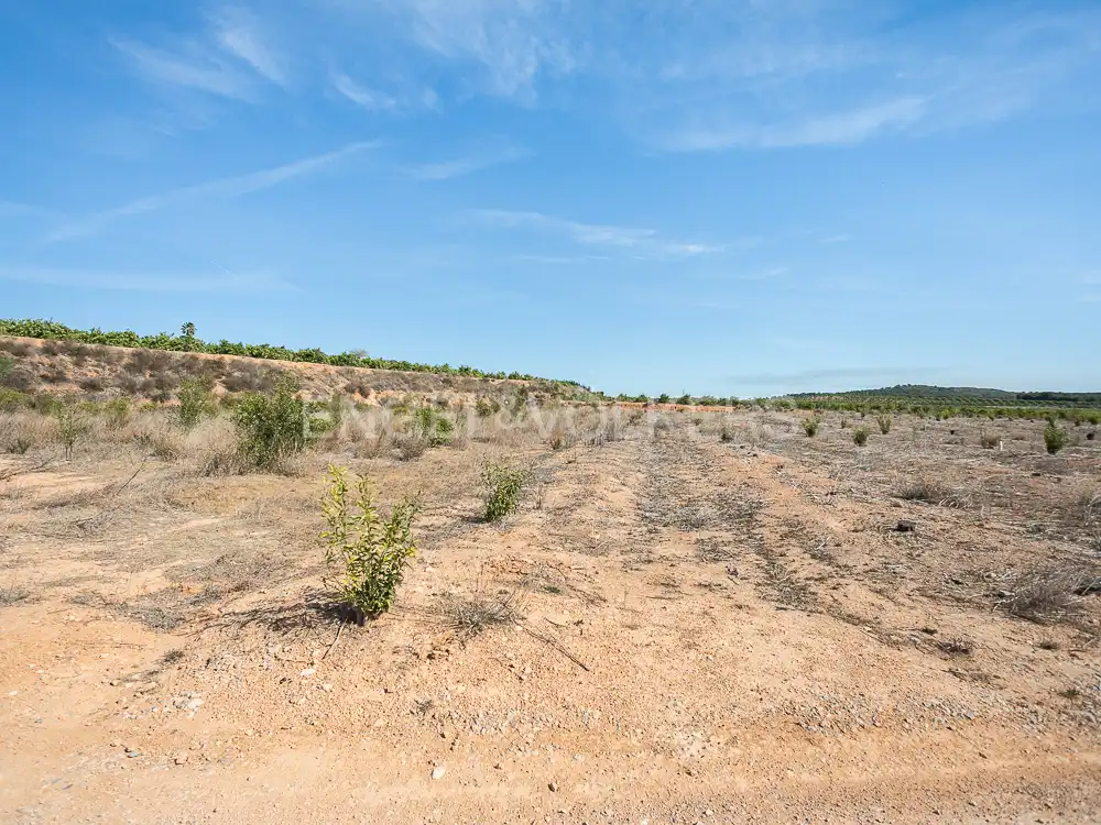 Terrenos y solares en venta en Pedralba, imagen 19
