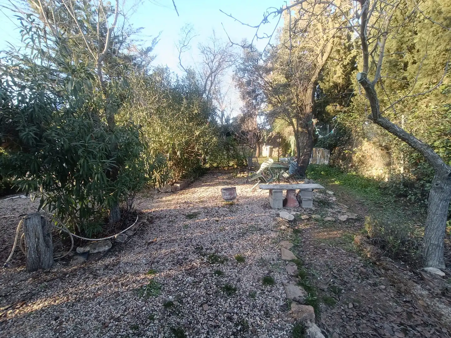 Jardín de Casa o chalet en venta en Carrión de Calatrava con Jardín privado, Trastero y Amueblado