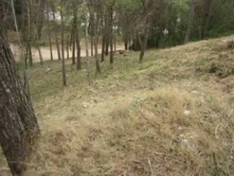 Residential land for sale in Piera