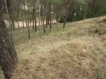 Wohnbaugrundstück zum Verkauf in Piera