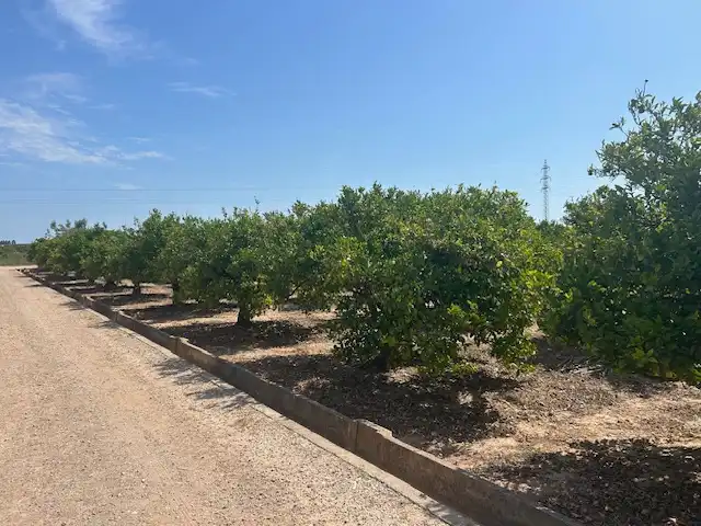 Rural land for sale in Carrer del Pou, imagen 3