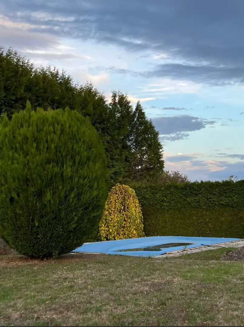 Jardí de Casa o xalet en venda en Lugo amb Terrassa