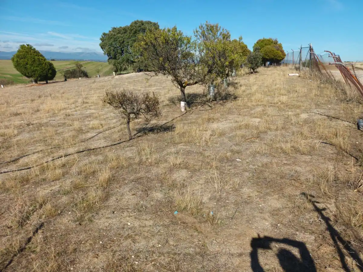 Finca rústica en venta en Brunete