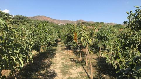 Foto 4 de Finca rústica en venta en Norte - Barrio del Pilar - El Reñidero, Málaga