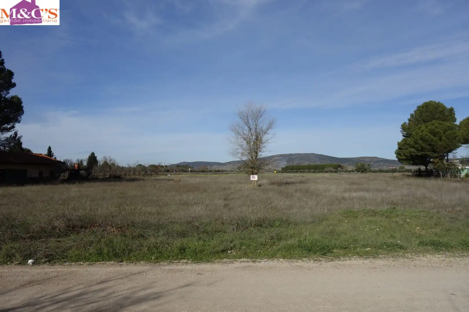 Terreno rustico in vendita a Argamasilla de Calatrava, imagen 3