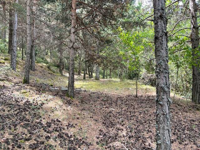 Terreno residencial en Venta en Aubinyà - Juberri