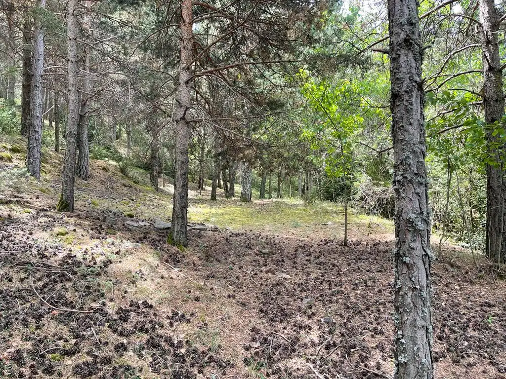 Lands and plots for sale in Aubinyà - Juberri