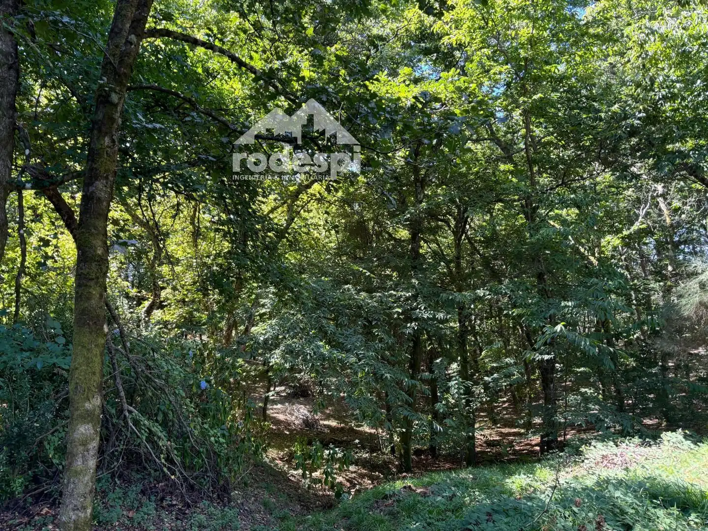 Terreny rústic en venda a A Cañiza, imagen 25