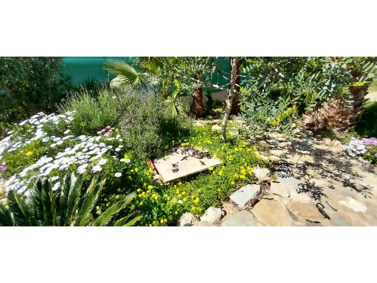 Jardí de Casa o xalet en venda en Cartagena amb Aire condicionat, Jardí privat i Terrassa