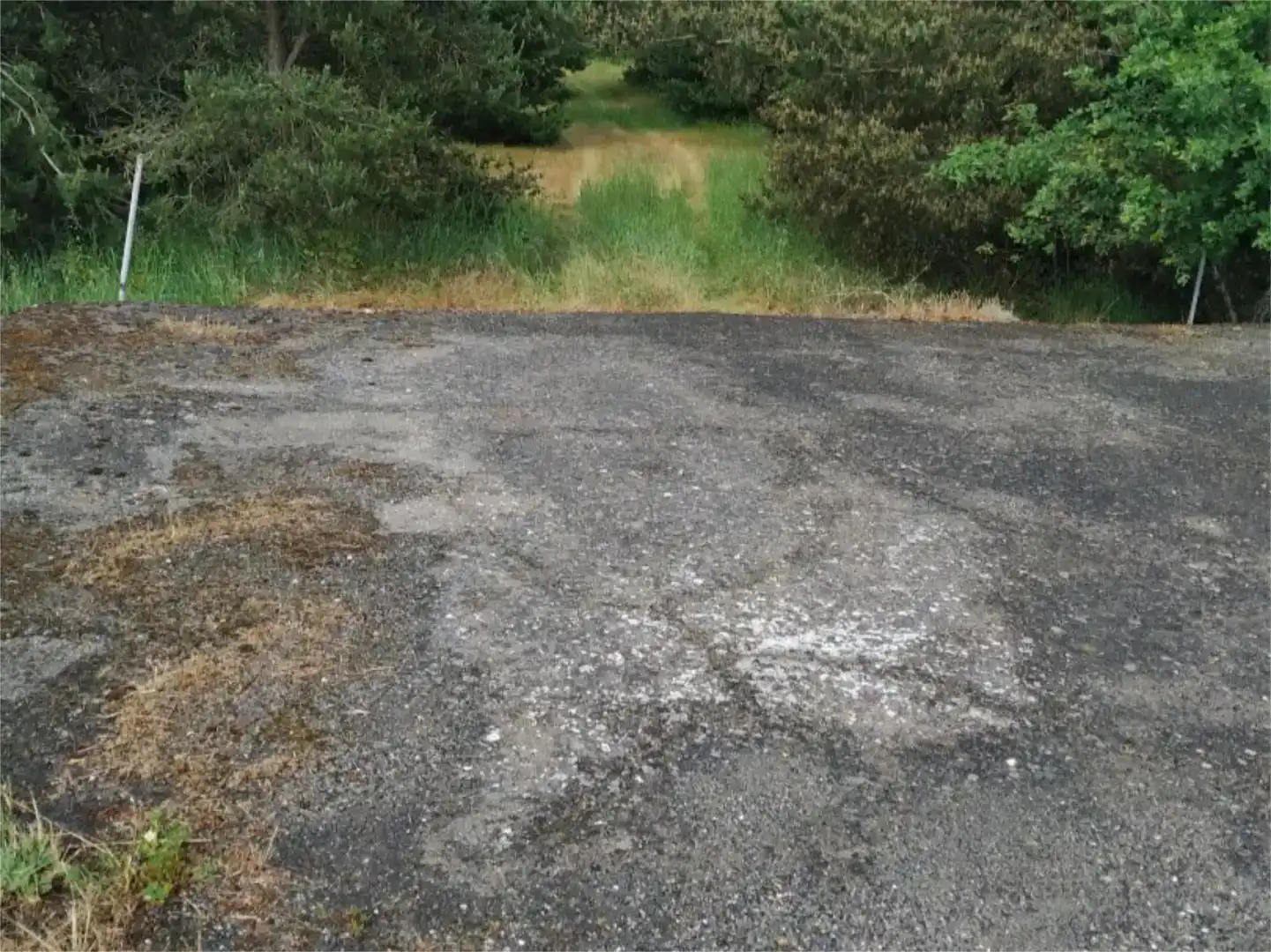 Land for sale in Sandiás