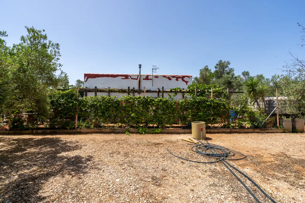 Terreny rústic en venda a Camí Miliana 1, imagen 18