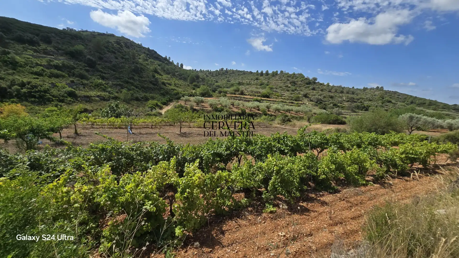 Terreno rustico in vendita a Cervera del Maestre, imagen 11