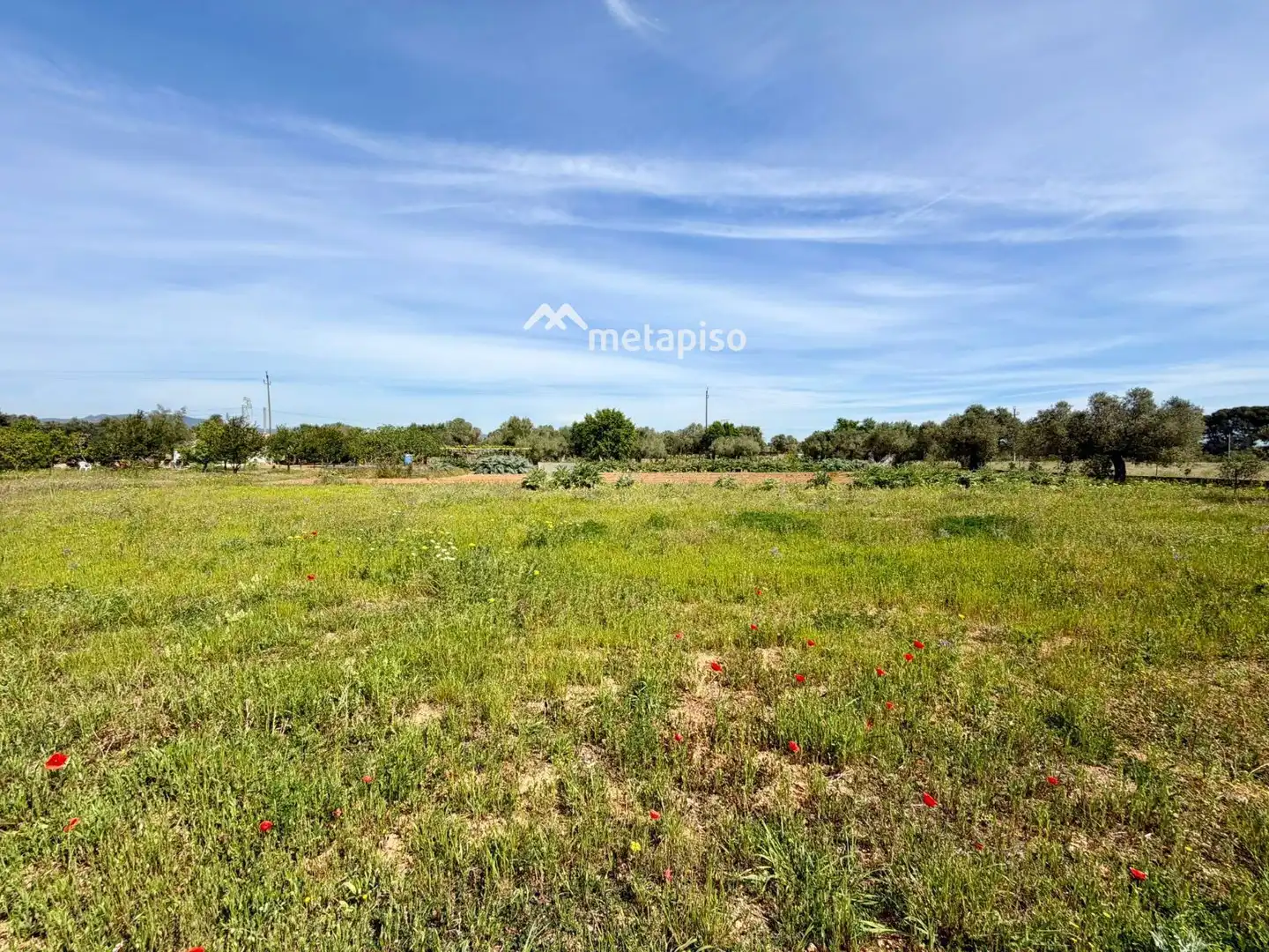Terreno rustico in vendita a Santa Oliva, imagen 61