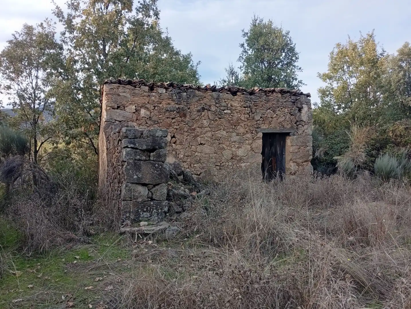 Terreni e lotti in vendita a Villanueva de la Vera, imagen 37