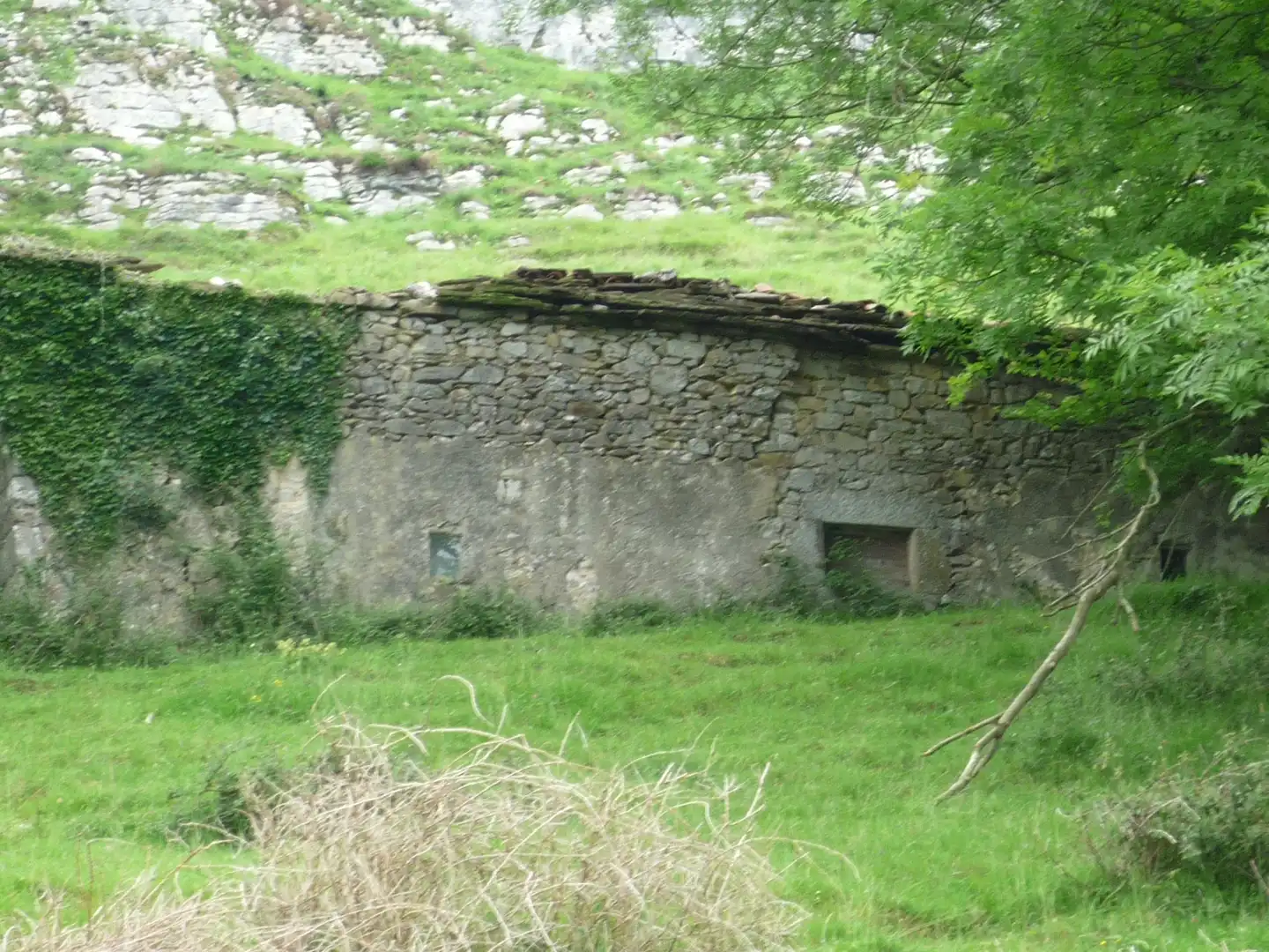 Terreno rustico in vendita a Liérganes, imagen 3