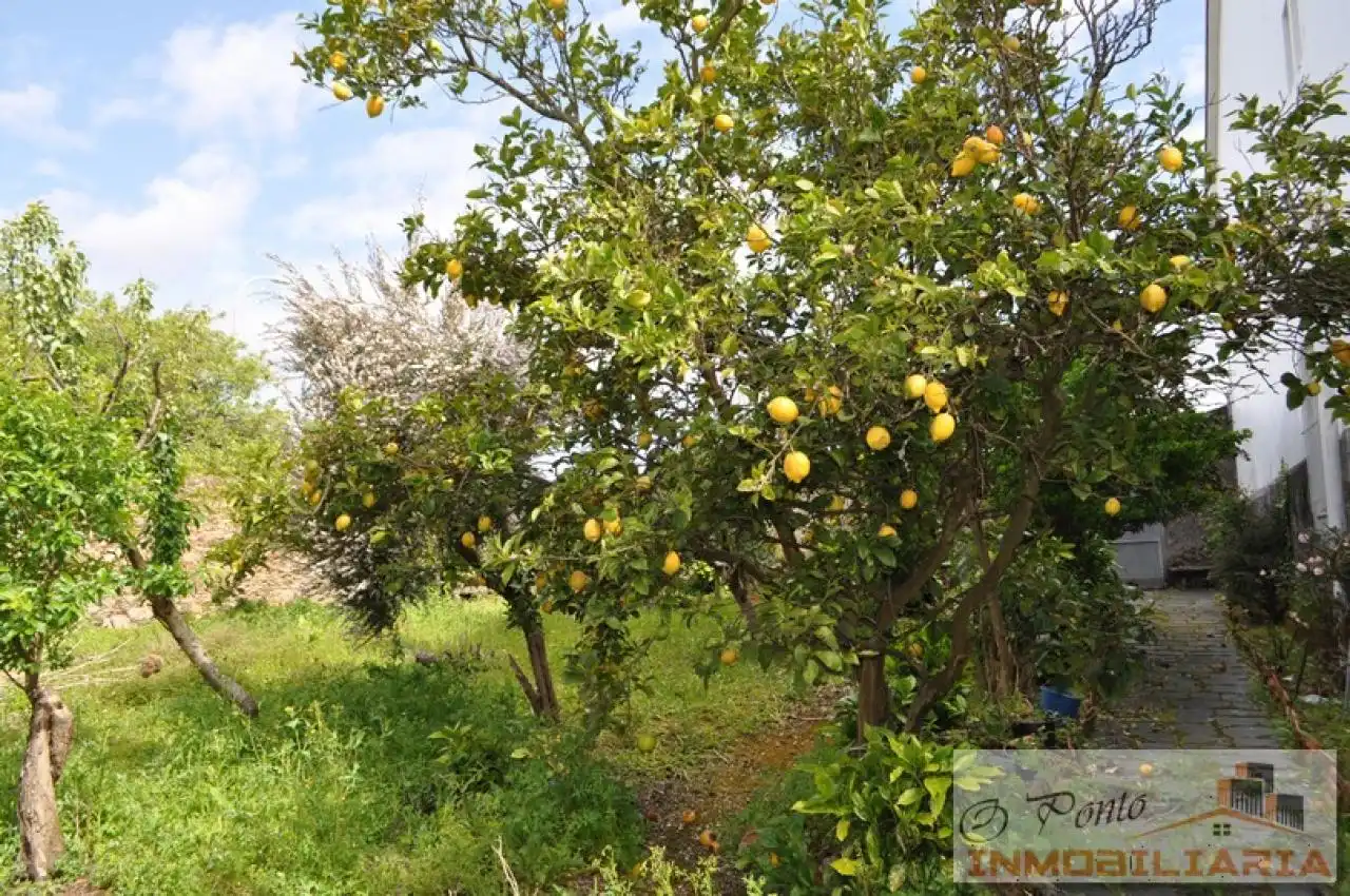 Terreni e lotti in vendita a O Feal - Xubia, imagen 2