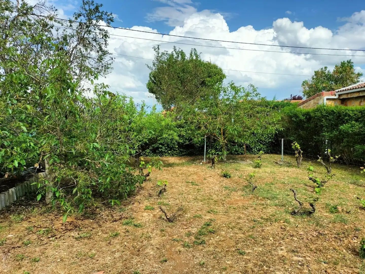 Terreni e lotti in vendita a Grijota, imagen 11