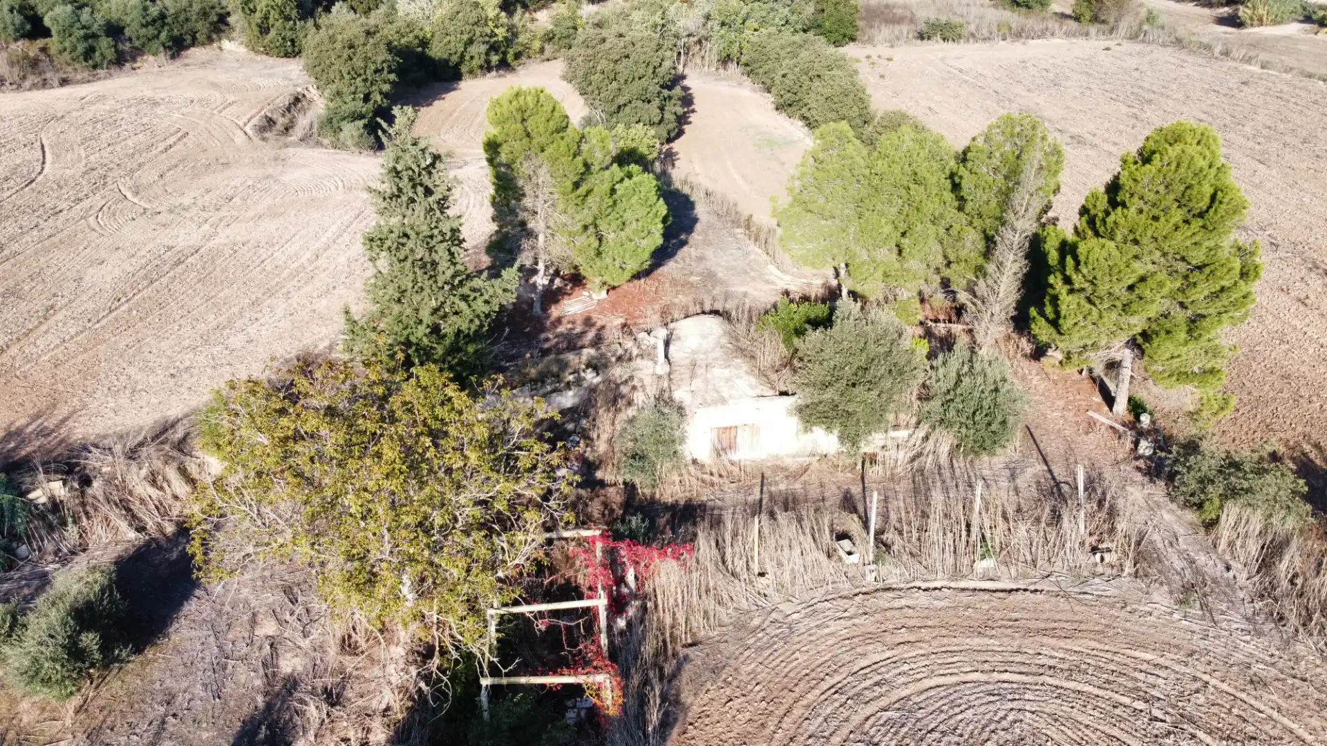 Rural land for sale in Arbeca