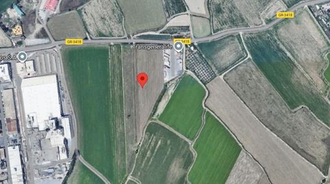 Finca rústica de regadío en venta  Pago de Naujar y Frigiliana Granada
