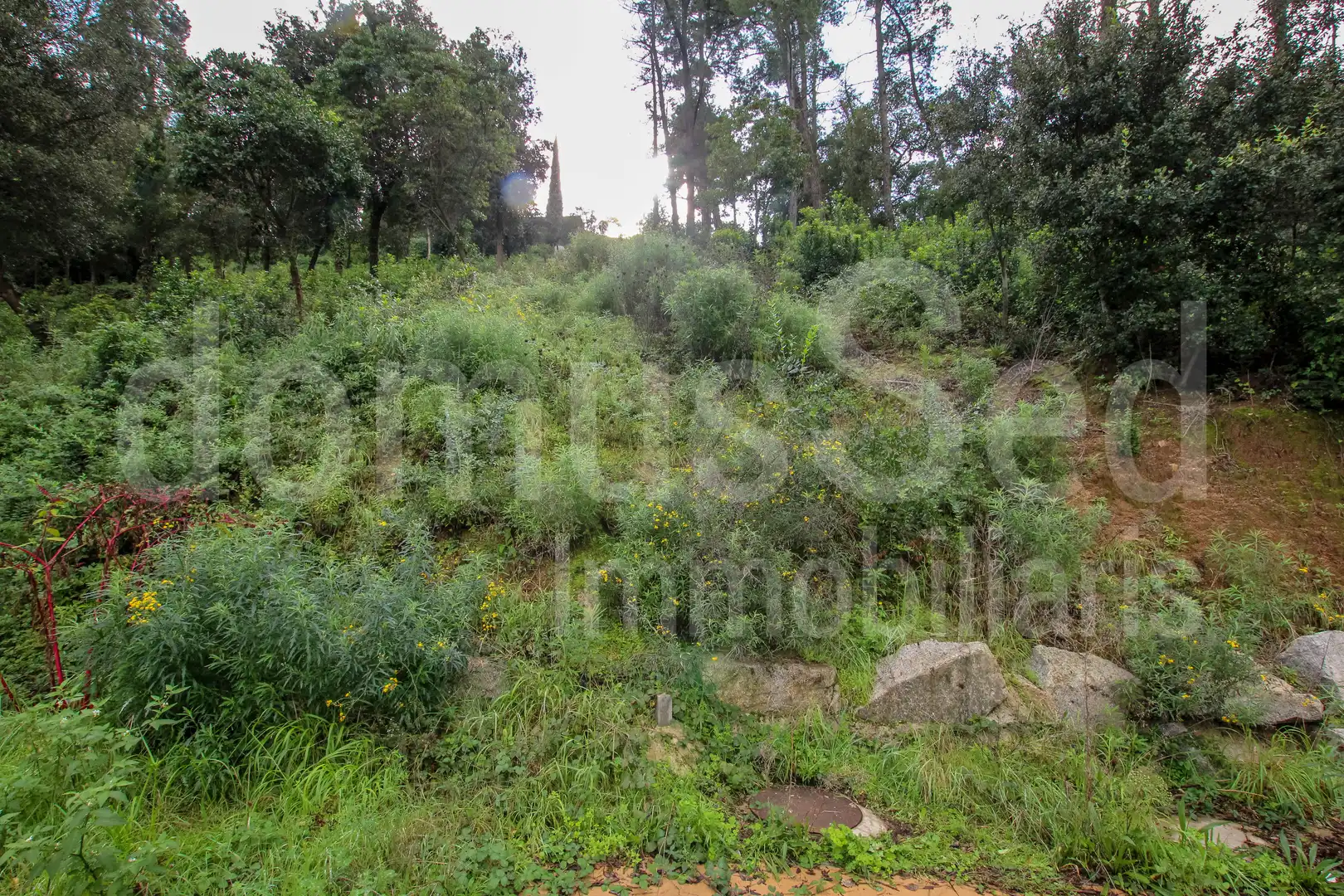 Wohnbaugrundstück zum Verkauf in Vallromanes, imagen 8