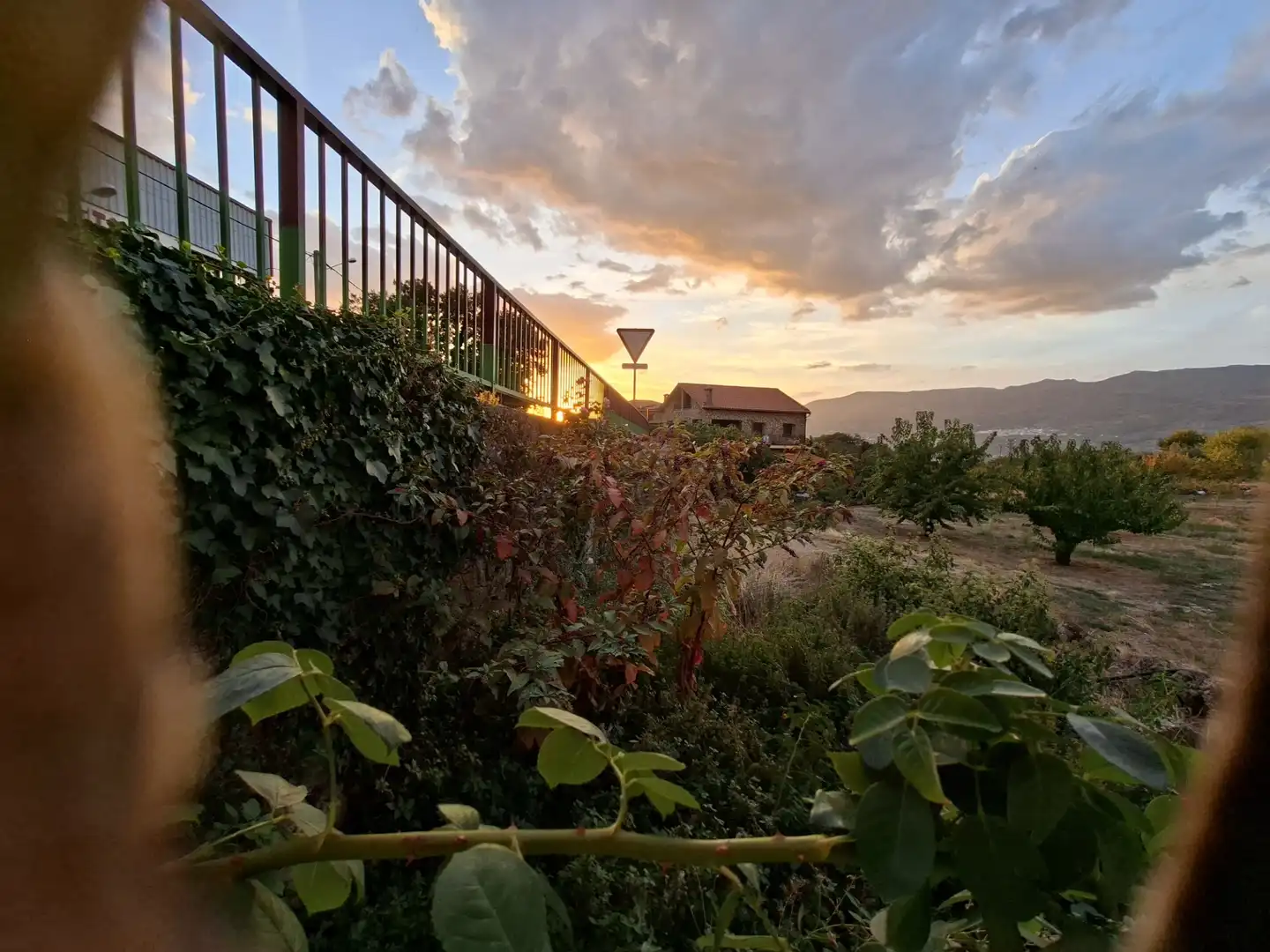 Jardí de Casa o xalet en venda en Cabrero