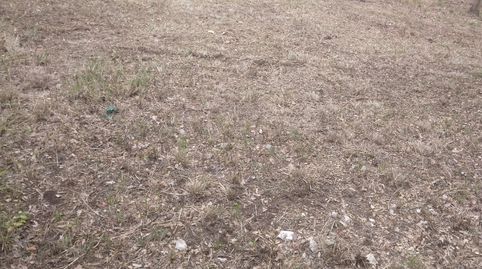 TE004. Llagostera, parcel.la per edificar la casa dels teus somnis, immagine 5