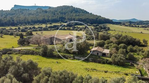 Finca rústica con gran terreno y casas para restaurar en venta en Algaida