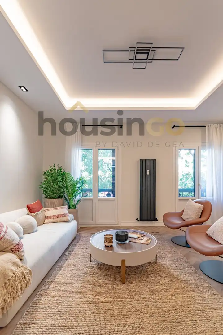 Sala d'estar de Pis en venda en Barrio de Salamanca