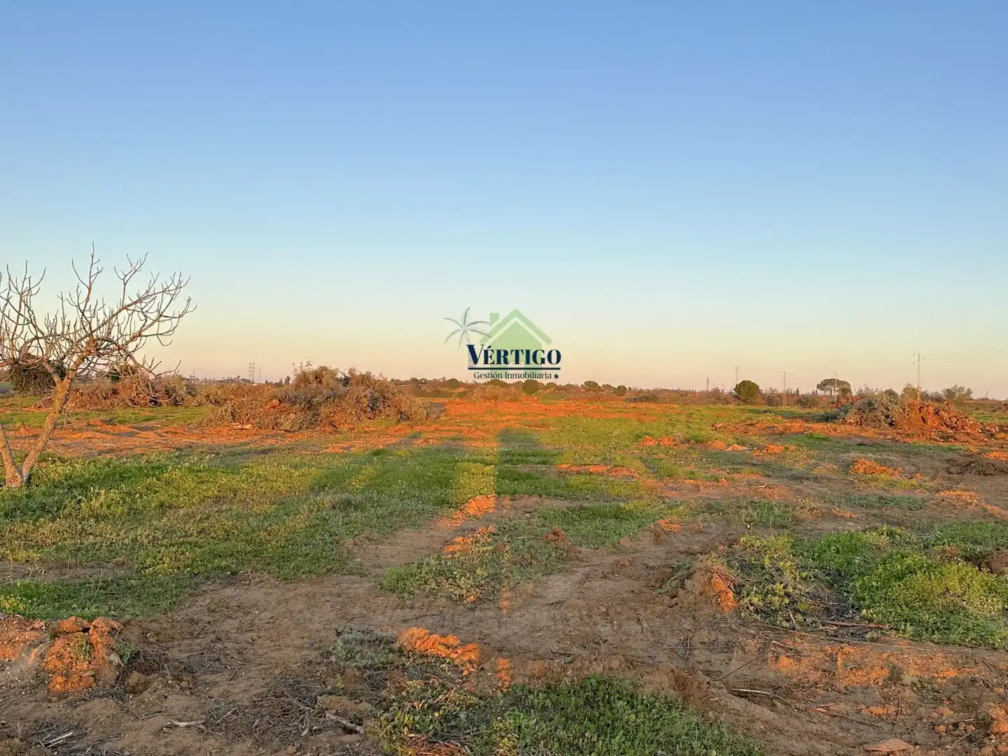 Residential land for sale in Calle Huerta de la Marquesa 3, imagen 7