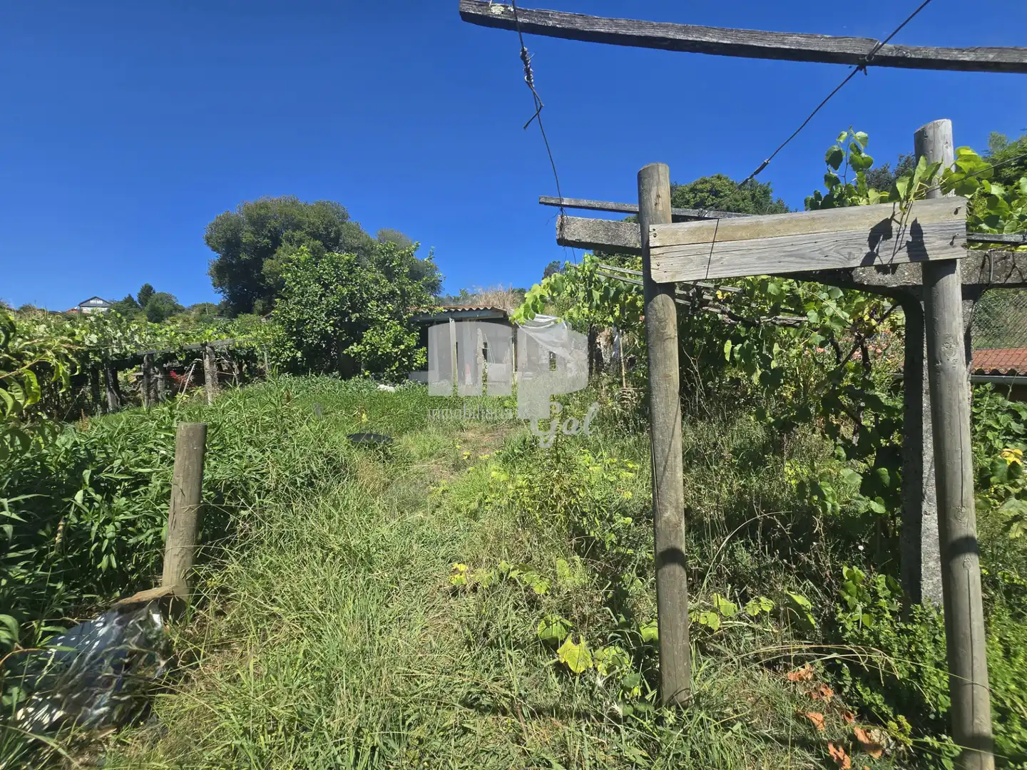 Casa o chalet en venta en Mos con Jardín privado y Terraza