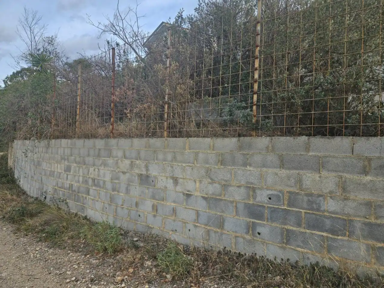 Rural land for sale in Calle Pins, imagen 12